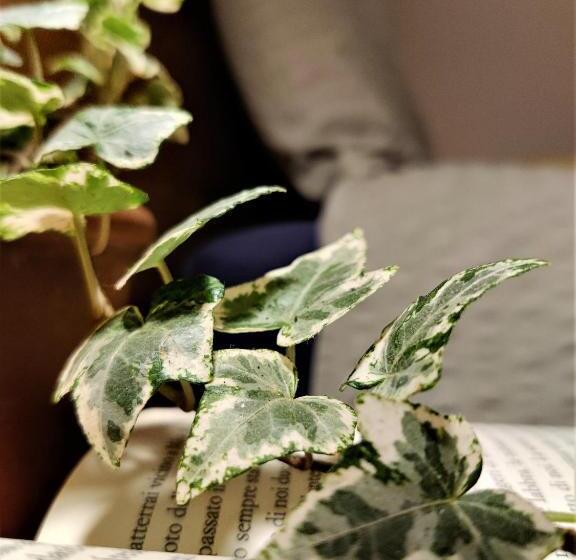 فندق Bio Agritur Al Bait