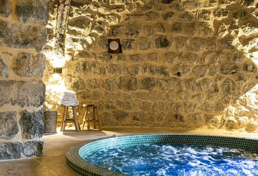 Отель Château De Saint Vidal