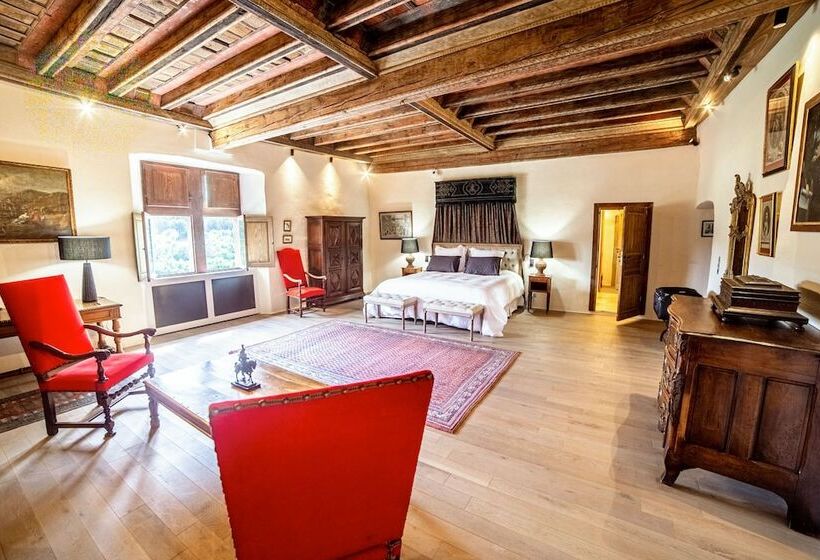 Отель Château De Saint Vidal