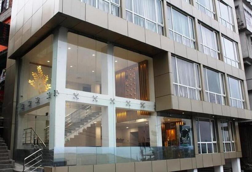 Отель Mann Dechen And Palmo, Mg Marg, Gangtok