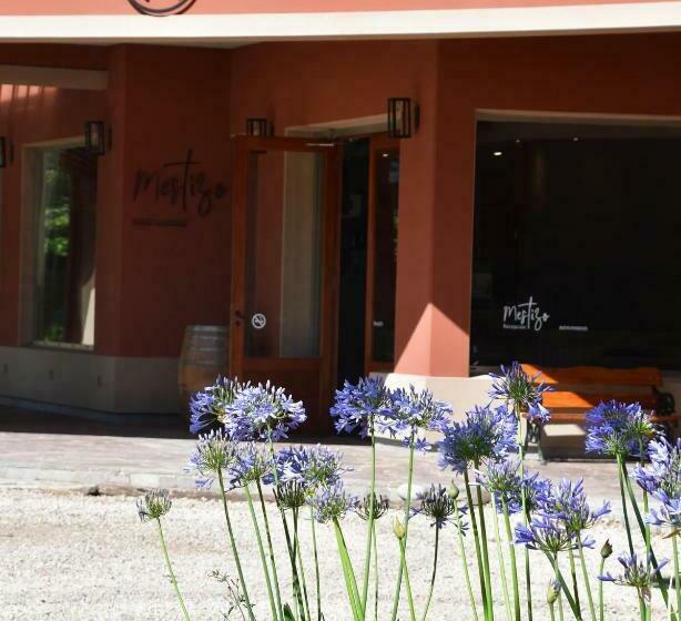 בית מלון כפרי Mestizo