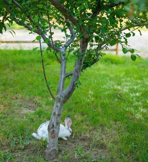 호텔 Paradise Laguna Vain