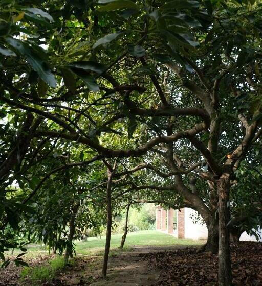 فندق The Wild Olive Andalucía Citrus Suite