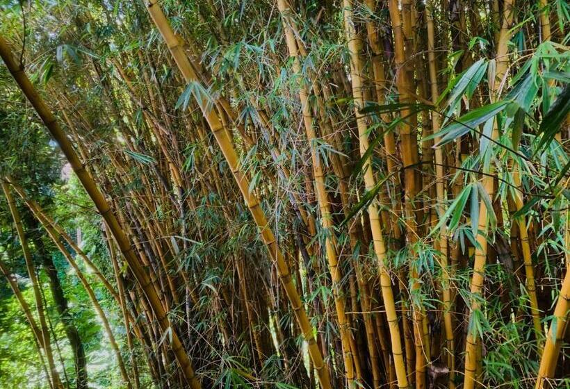 ホテル Wild Ginger