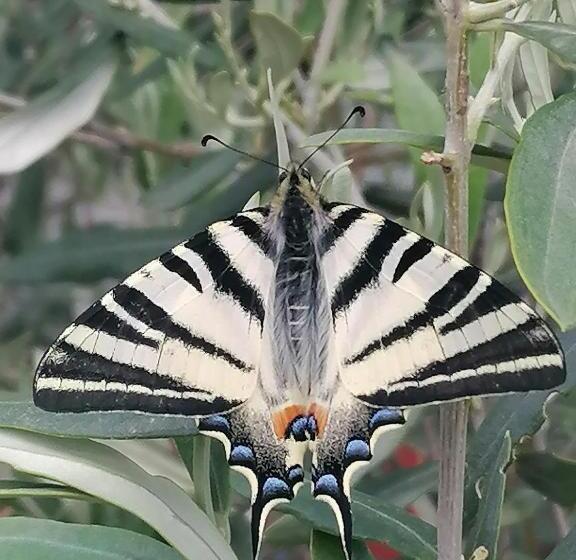 פנסיון Mes Nuits Vintage En Combi