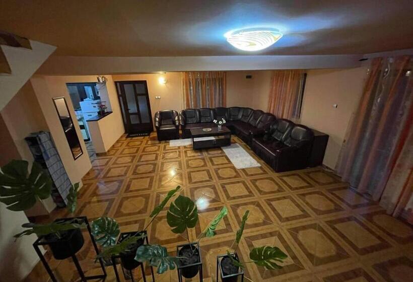 פנסיון Vila Maria Dambovicioara