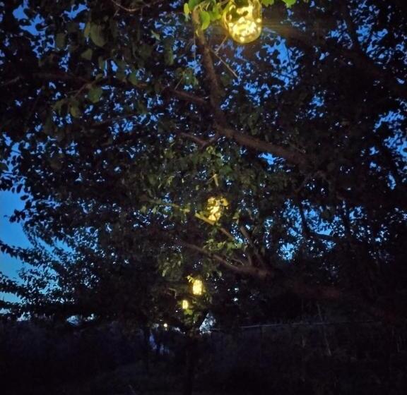 Agriturismo Terre Verae