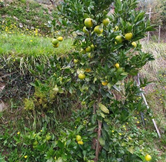 Agriturismo Terre Verae