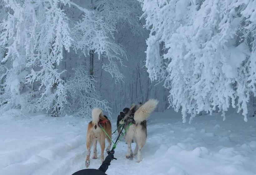 住宿加早餐  Le Mas De Rigoulac Chambre Bulle Spa Sur Réservation
