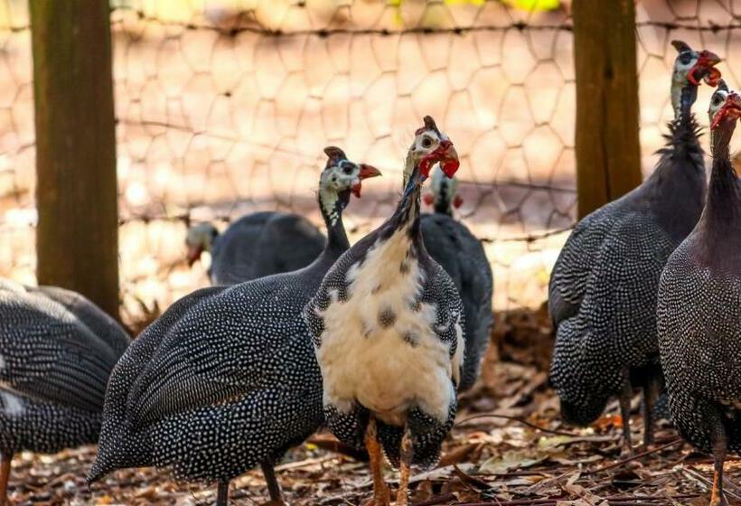 فندق Fazenda Vale Das Grutas