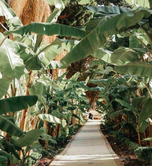 בית מלון כפרי Maja Luxury Resort