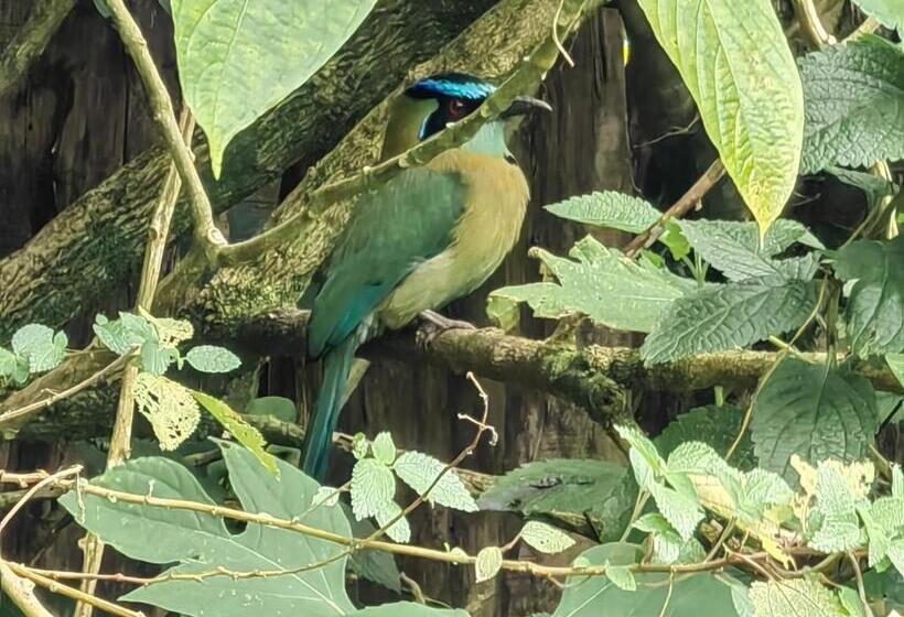 호텔 Monteverde House