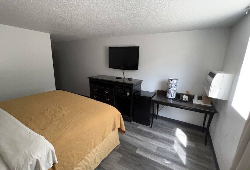 汽车旅馆  Dickinson Inn