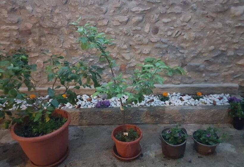 Пансион Casa Lidia