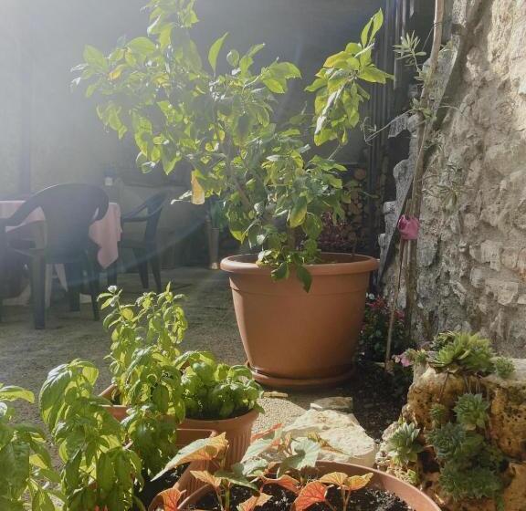 Пансион Casa Lidia