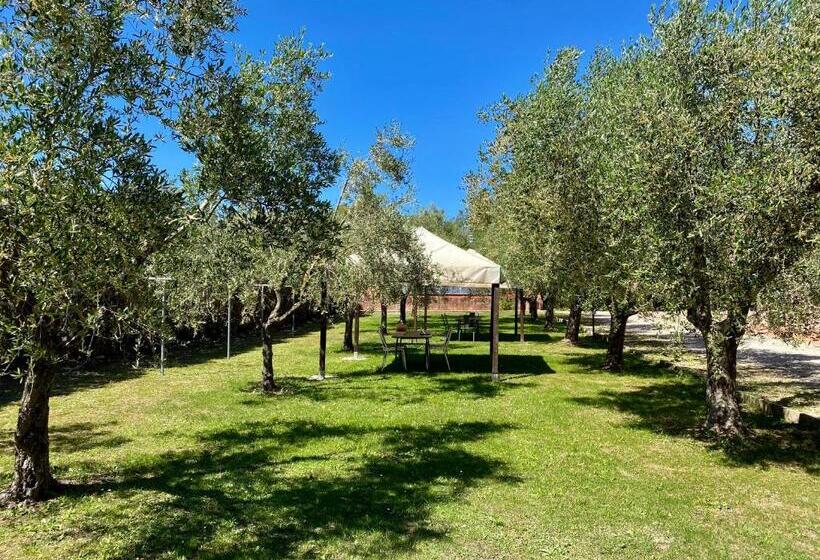 Residence Terme Isola D Elba Srl