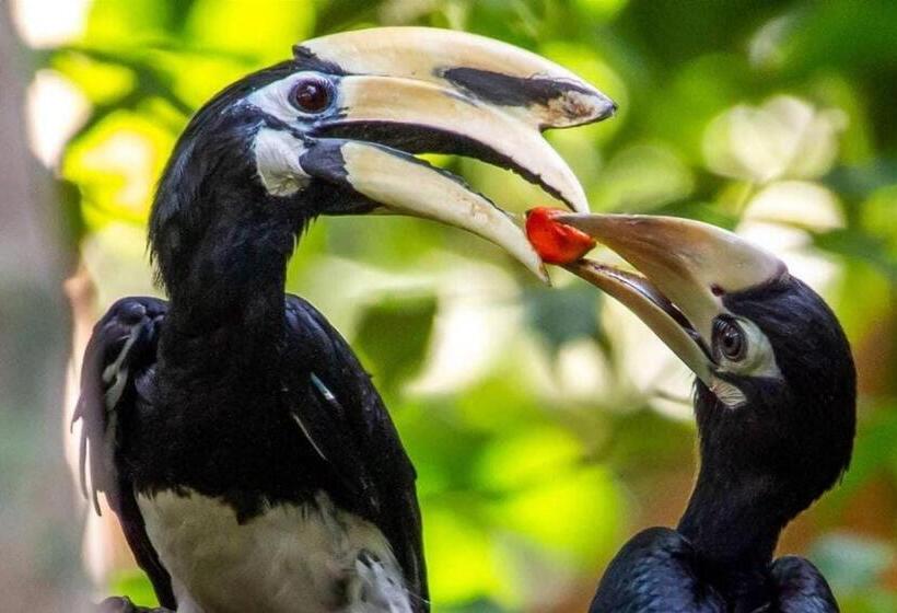 ユースホステル Connexion