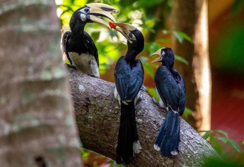 ユースホステル Connexion