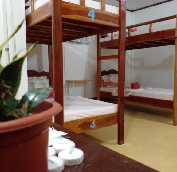 هاستل Seashore Inn