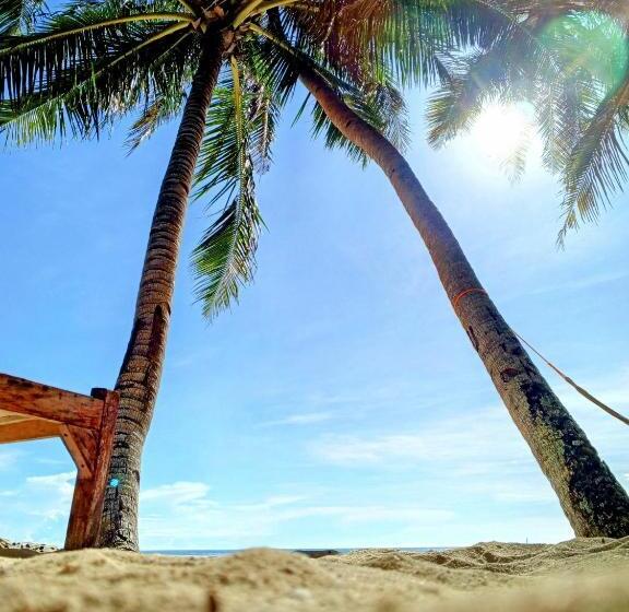 هاستل Seashore Inn