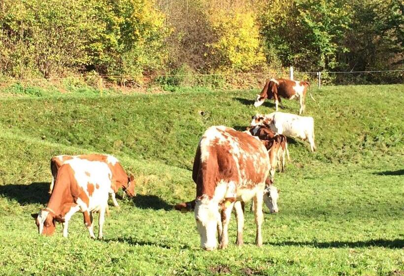 민박 Gast Und Hof Spittel