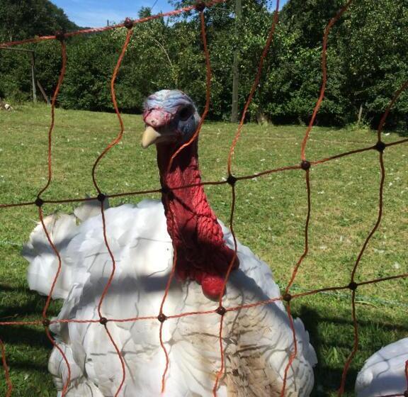 민박 Gast Und Hof Spittel