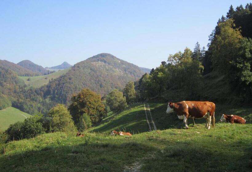 민박 Gast Und Hof Spittel