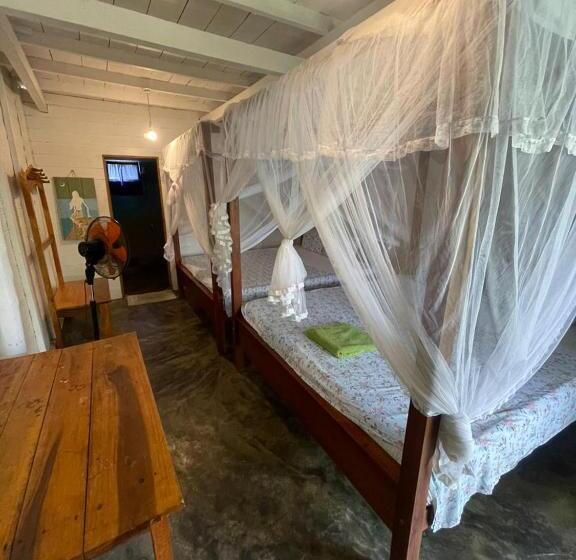 ベッドアンドブレックファースト Vitamin Sea Beach Cabana