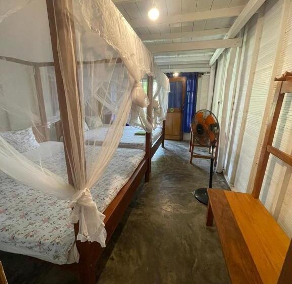 ベッドアンドブレックファースト Vitamin Sea Beach Cabana