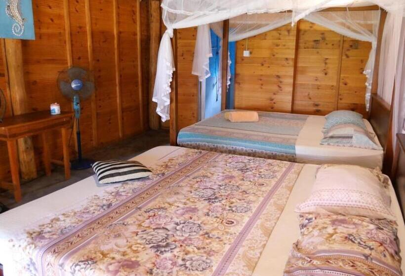 ベッドアンドブレックファースト Vitamin Sea Beach Cabana