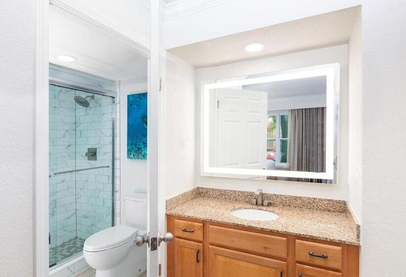 Gorgeous Condo Near Disney