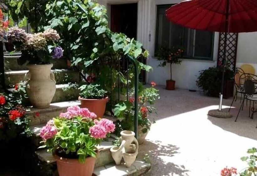 فندق Albergo Magenta