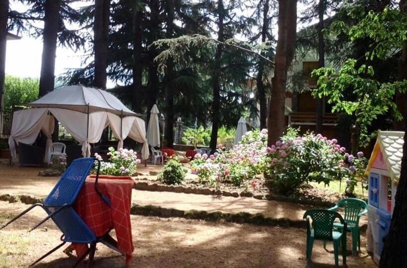 فندق Albergo Magenta