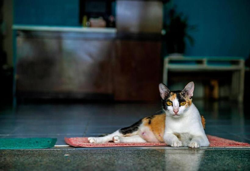 هتل Bụi Hostel Bến Tàu Rạch Giá