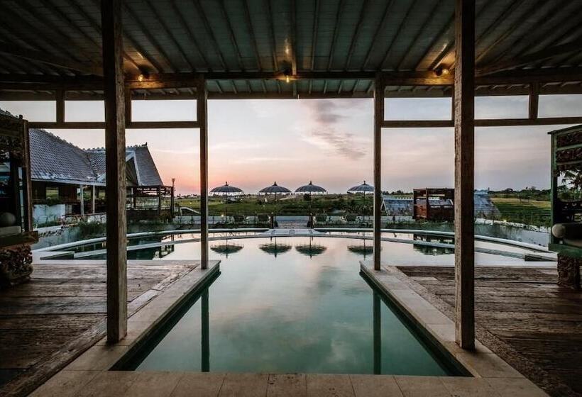 ホテル Boho Canggu