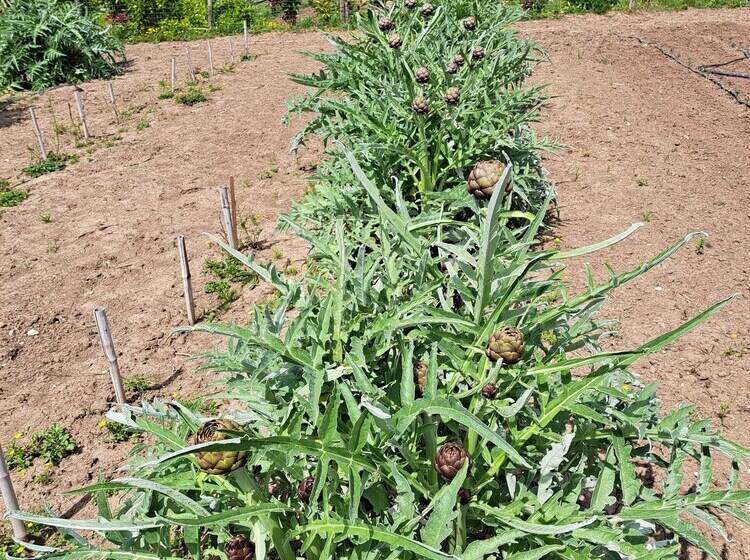 ホテル Family Farm Soc. Agr. A R.l