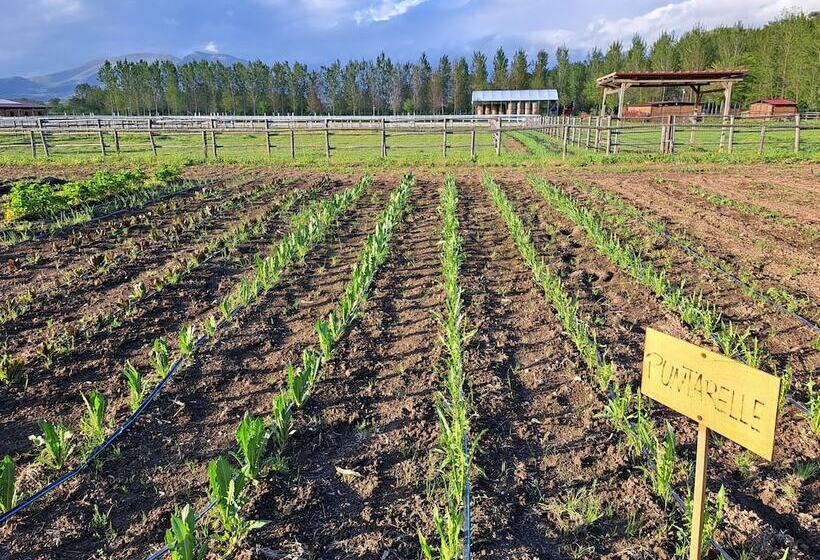 ホテル Family Farm Soc. Agr. A R.l