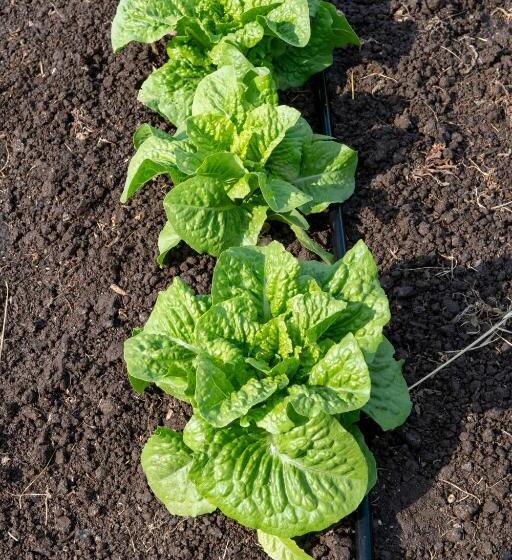 ホテル Family Farm Soc. Agr. A R.l