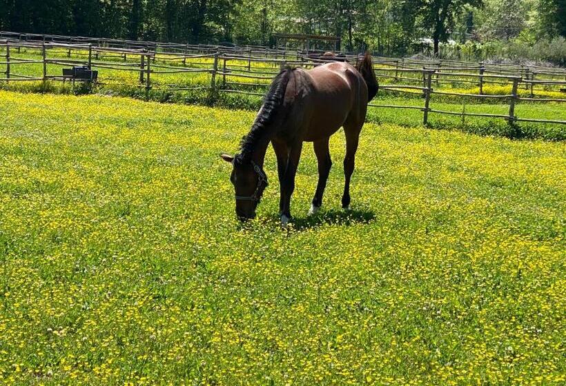 ホテル Family Farm Soc. Agr. A R.l