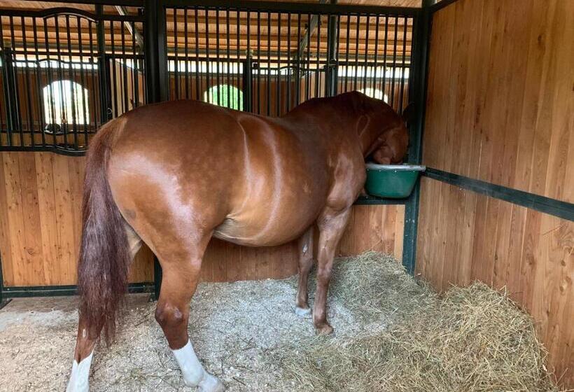 ホテル Family Farm Soc. Agr. A R.l