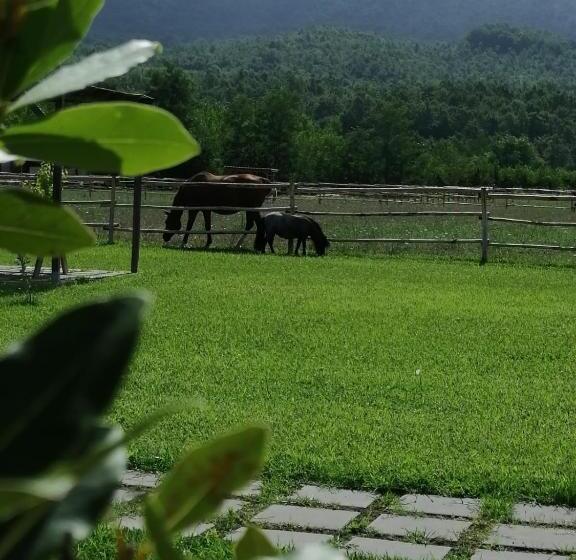 ホテル Family Farm Soc. Agr. A R.l