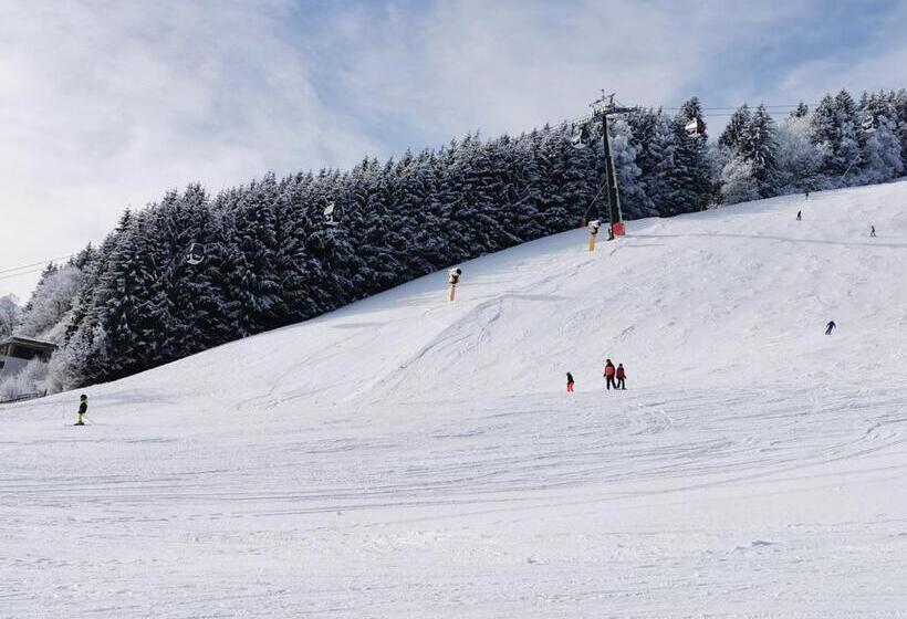 فندق Thurners Boutique