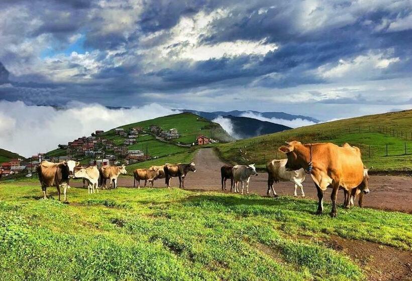 Migroraş Otel&restaurant Karester Yaylasi