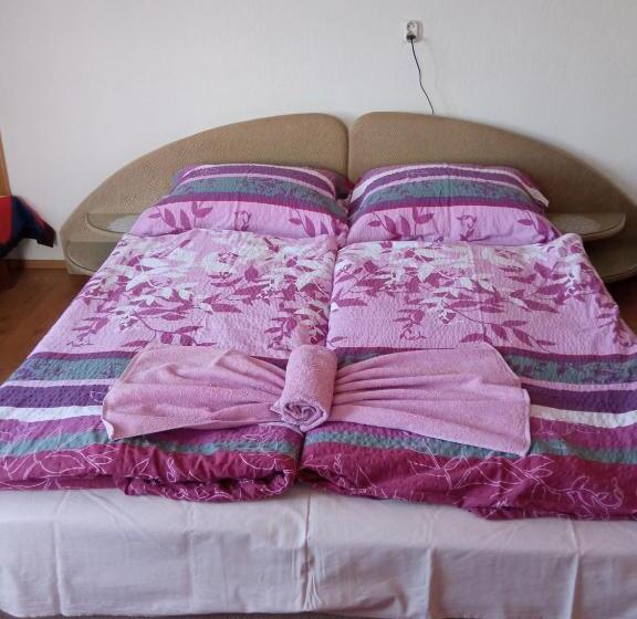 بنسيون Agro Privat