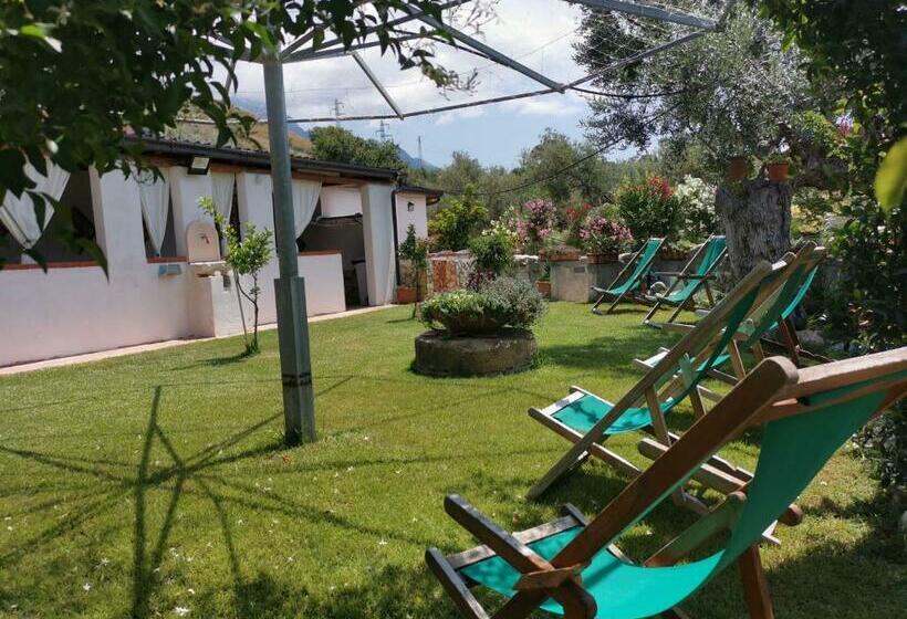 ペンション Baia Degli Ulivi