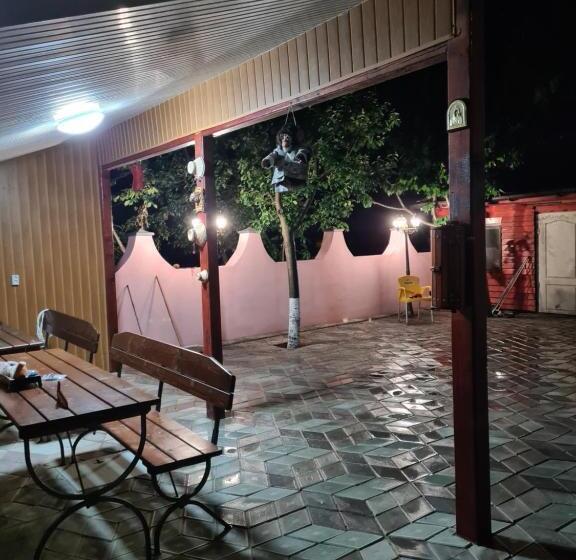 펜션 Camere De închiriat Duly Costinești