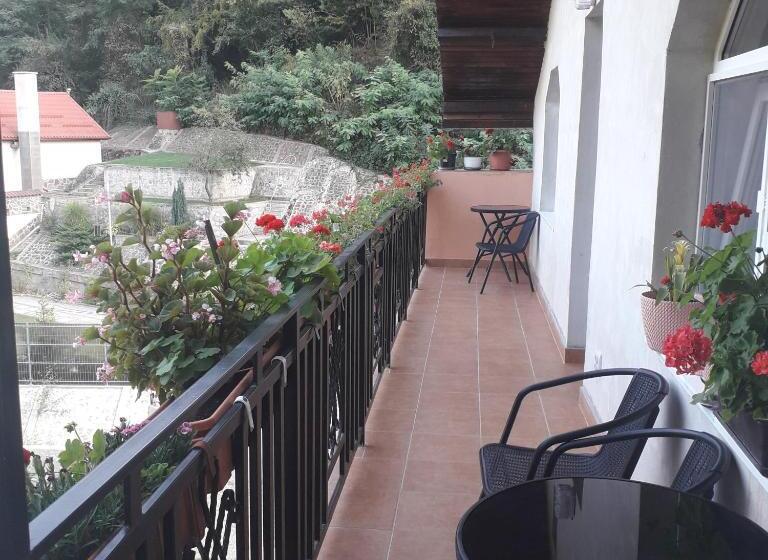 ペンション Casamarinela