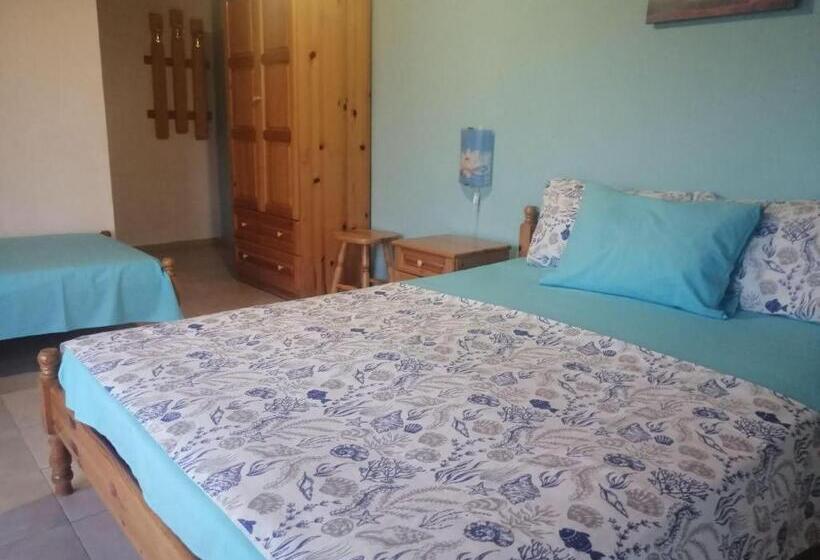 بنسيون Guest House Chalakov