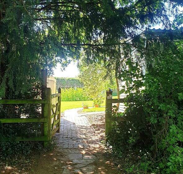 بنسيون The Cozy Shed