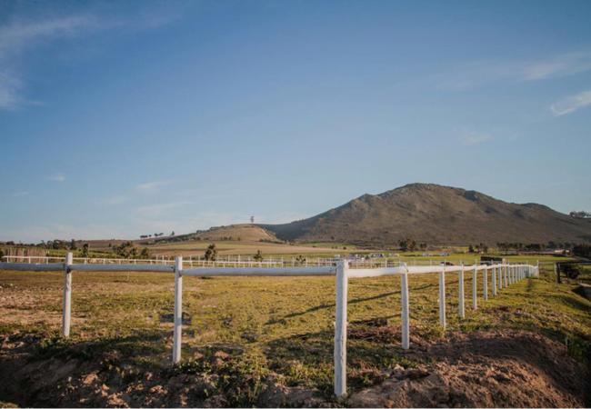 بنسيون The Purple Windmill